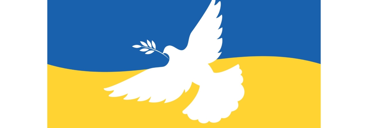 Recogida-Ucrania-Senttix-Bandera