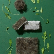 Senttix_Blog-Crin-de-caballo