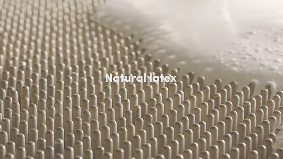 latex natural