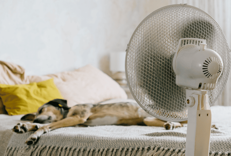 dormir-con-ventilador Dormir con ventilador