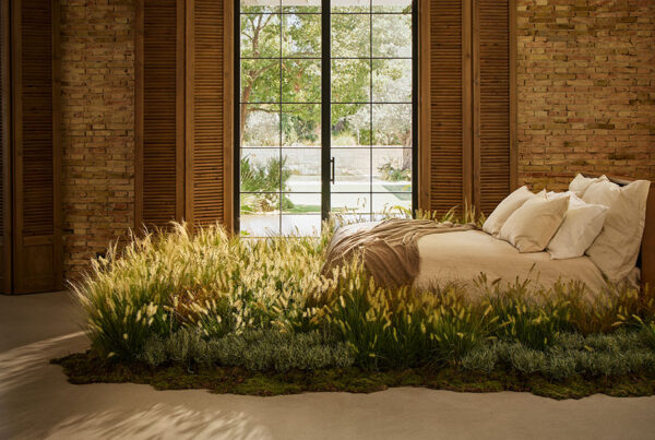 buenos buenos días senttix